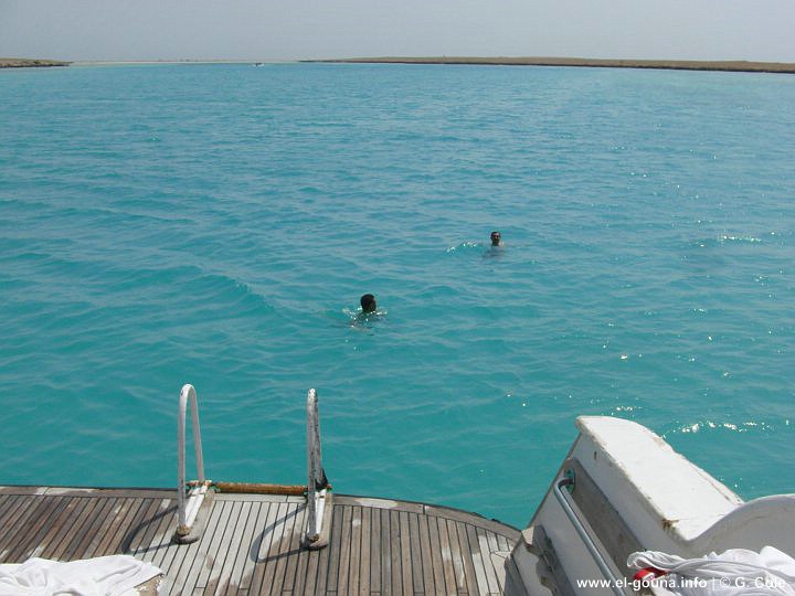 Green Gouna Tawila Island 059